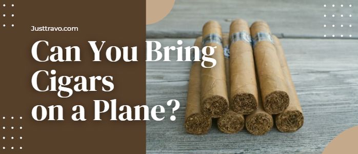 Can You Bring Cigars On A Plane? Travel With Cigars
