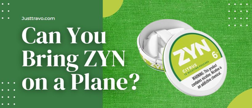 Can You Bring Zyn On A Plane? (Through TSA)