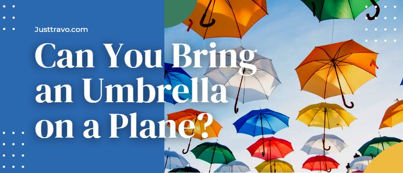 Can You Bring an Umbrella on a Plane?