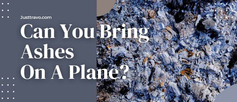 Can You Bring Ashes On A Plane? Flying with Cremated Remains