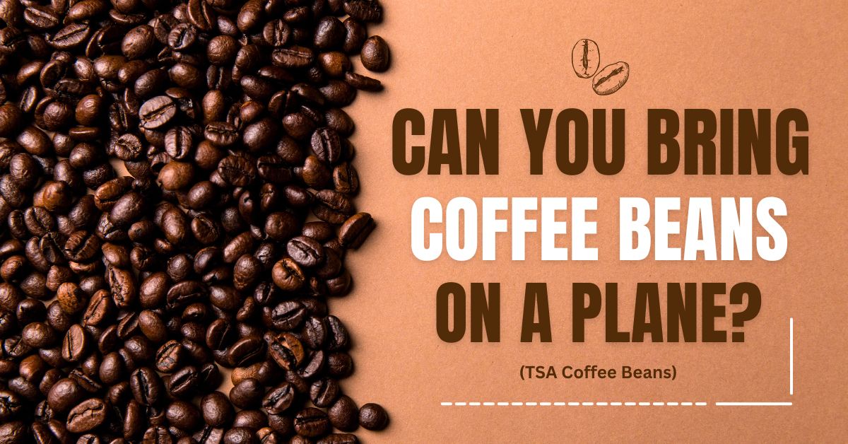 Can You Bring Coffee Beans On A Plane?