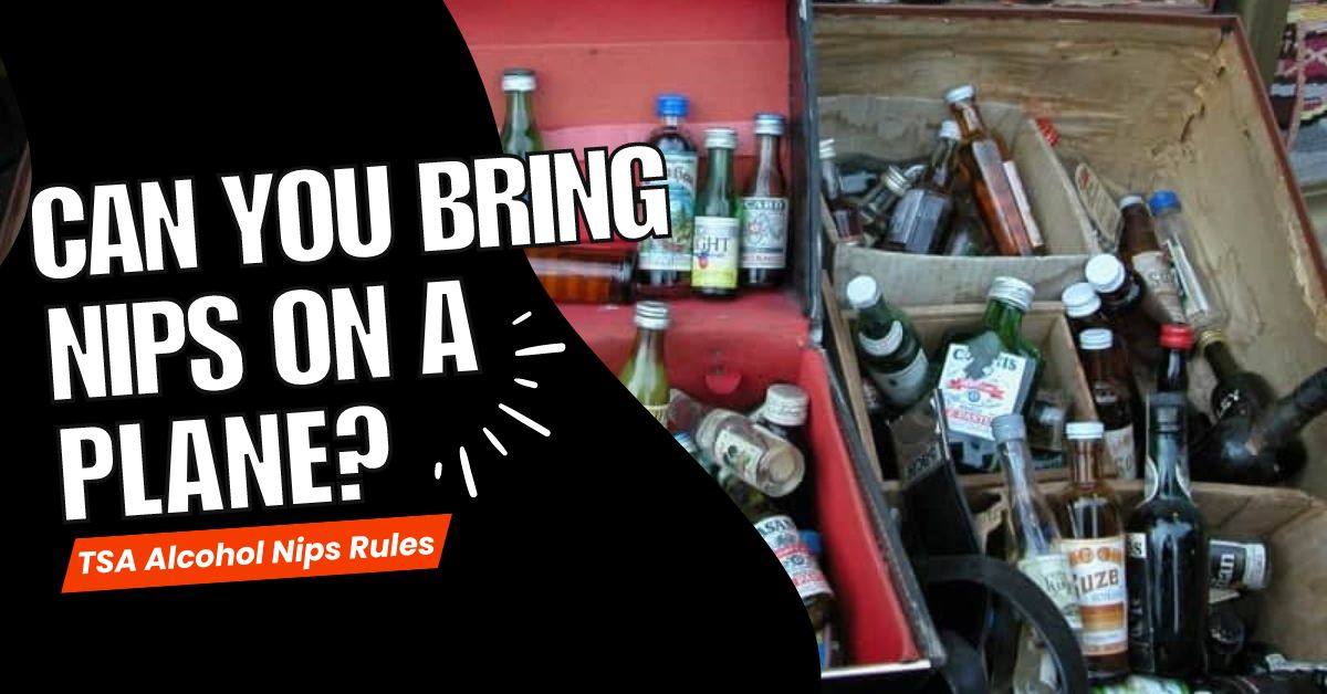 Can You Bring Nips On A Plane? TSA Alcohol Nips Rules