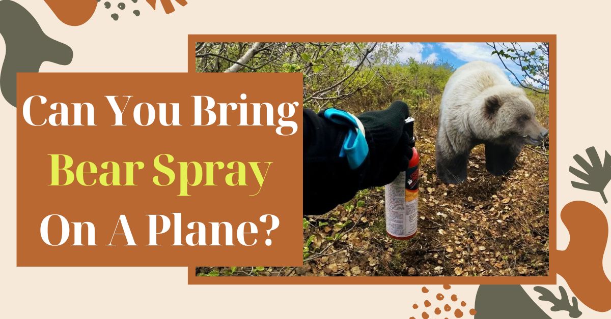 Can You Bring Bear Spray On A Plane?