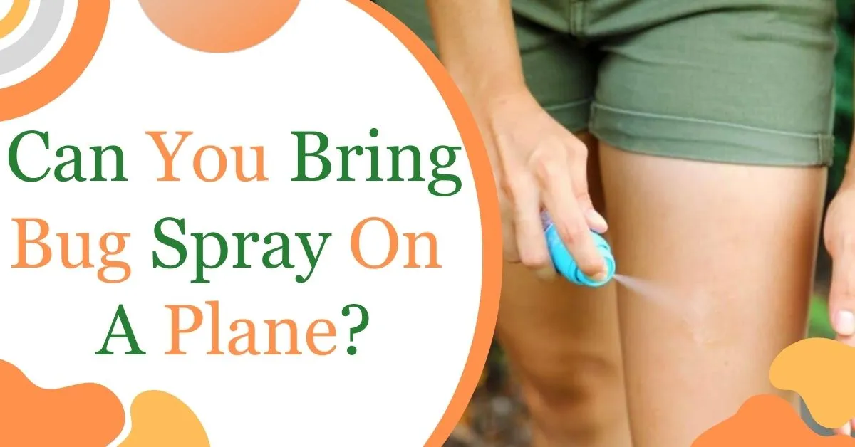 Can You Bring Bug Spray On A Plane?