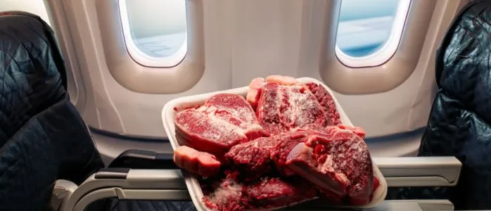Can You Bring Frozen Meat On A Plane