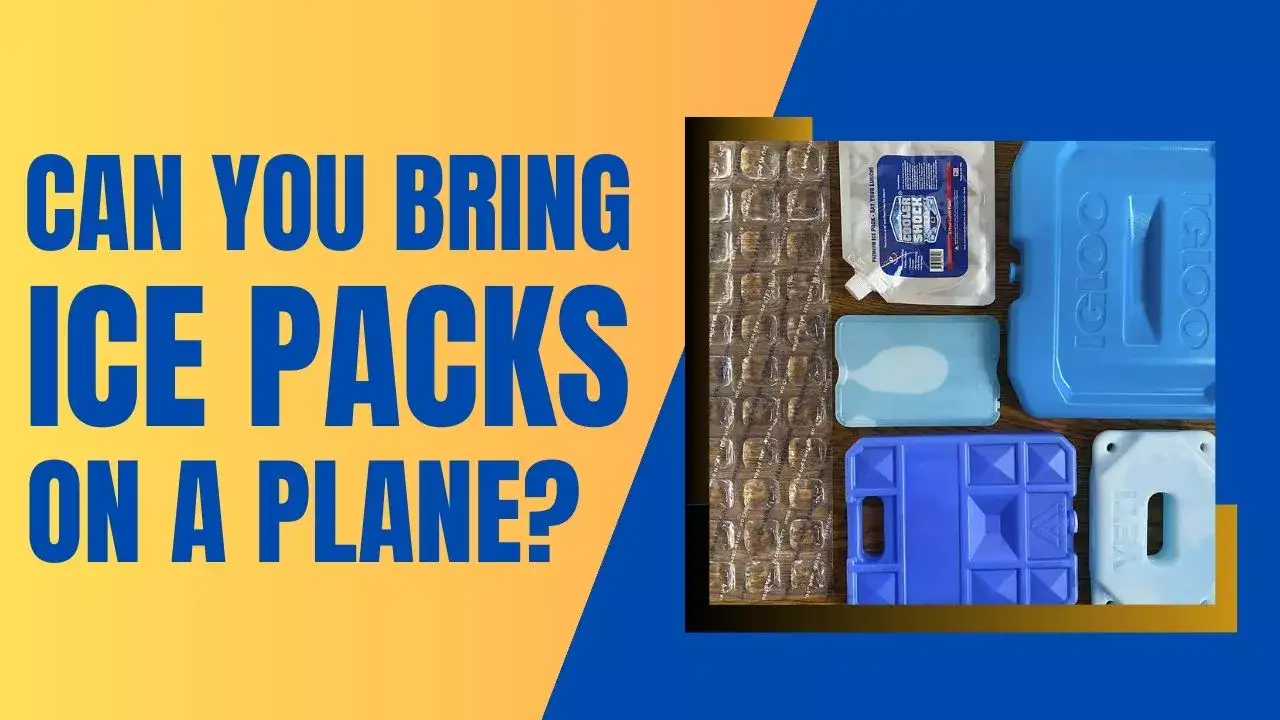 Can You Bring Ice Packs On A Plane?