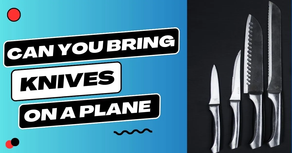 Can You Bring Knives On A Plane?