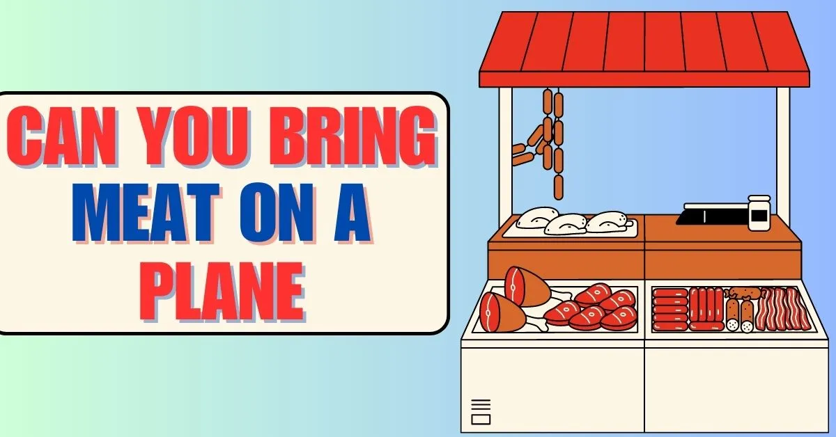 Can You Bring Meat On A Plane?