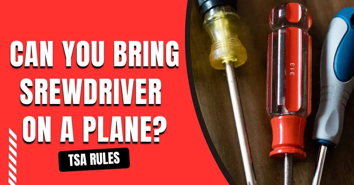 Can You Bring A Screwdriver On A Plane?
