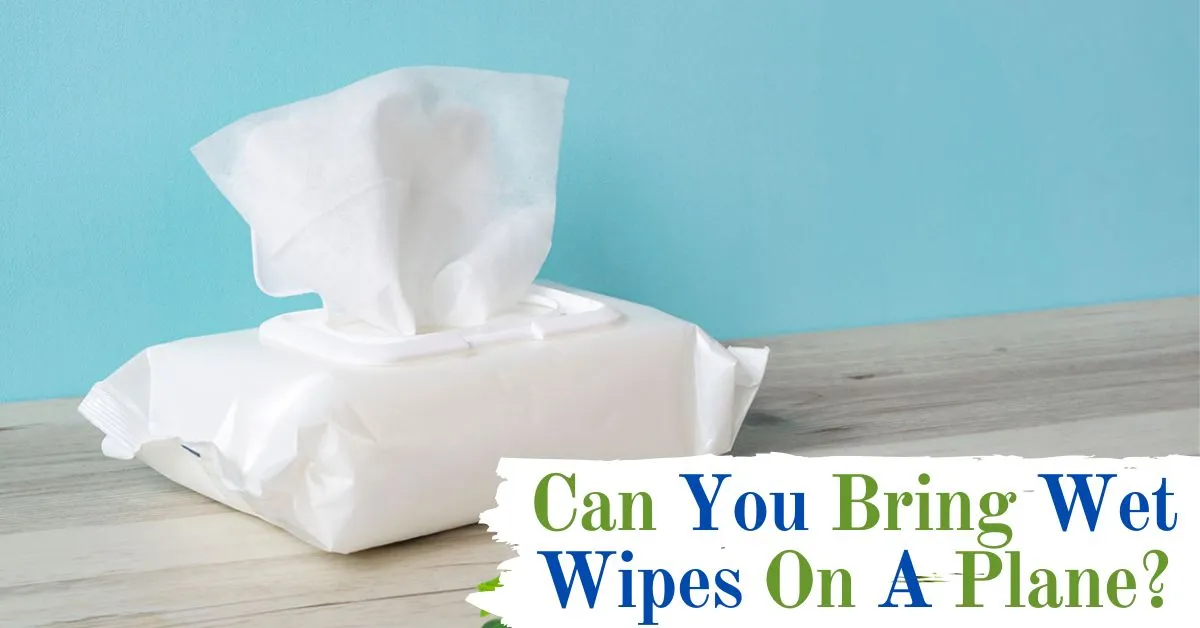 Can You Bring Wet Wipes On A Plane?