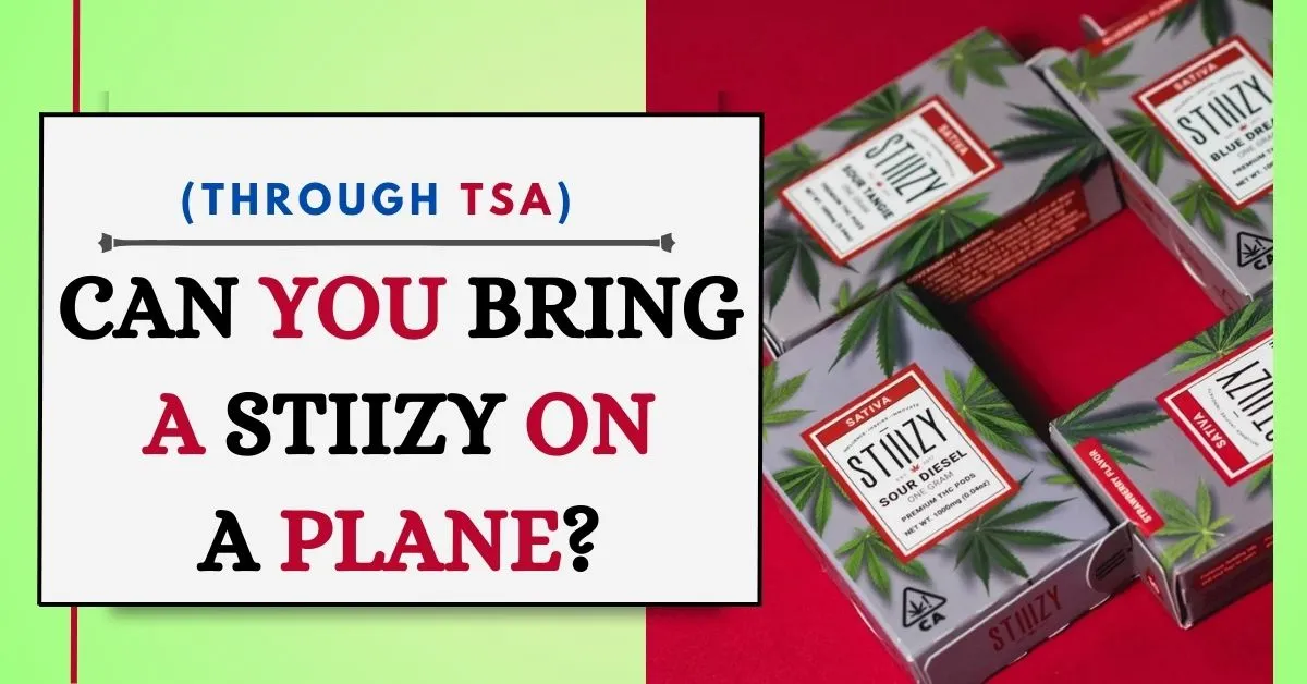 Can You Bring A Stiiizy On A Plane?