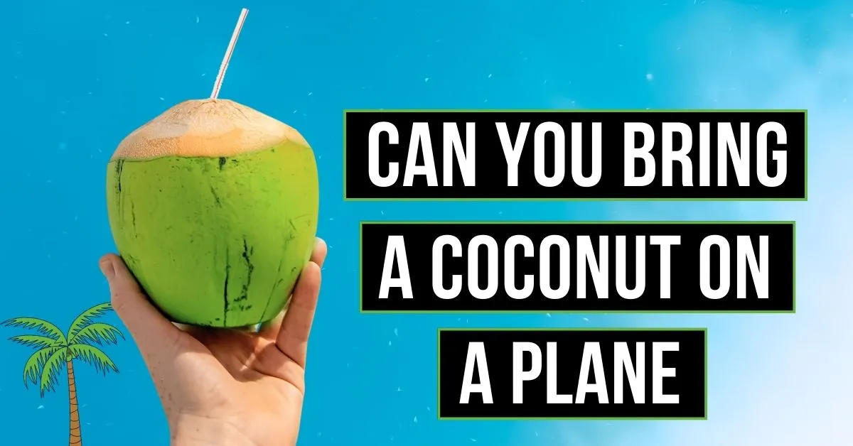 Can You Bring A Coconut On A Plane?