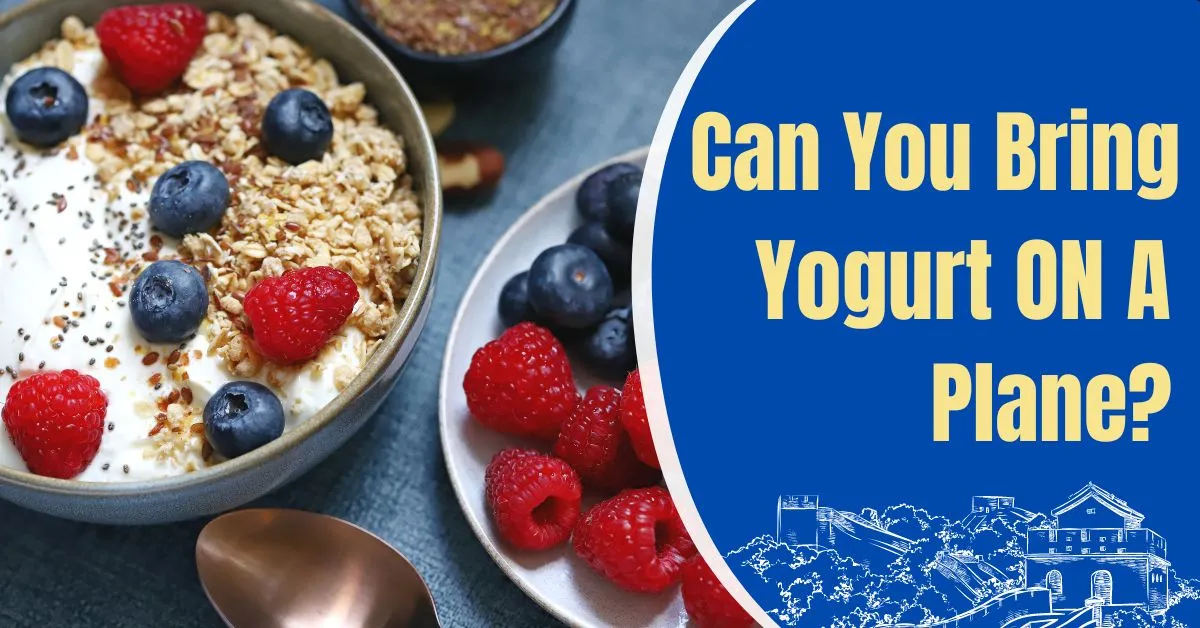 Can You Bring Yogurt On A Plane?