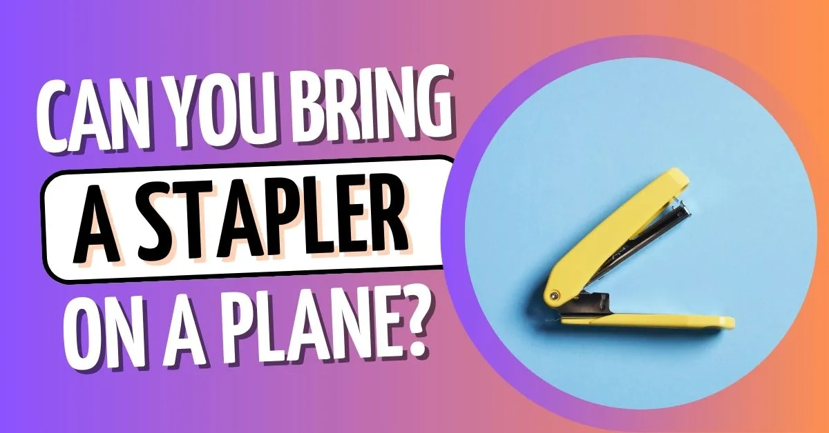 Can You Bring a Stapler On a Plane?