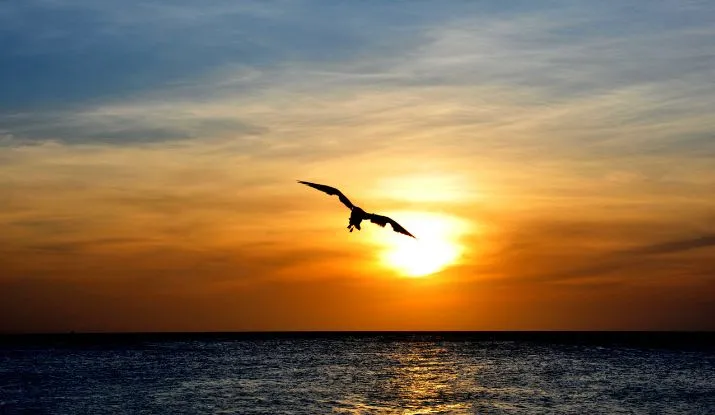 Aruba