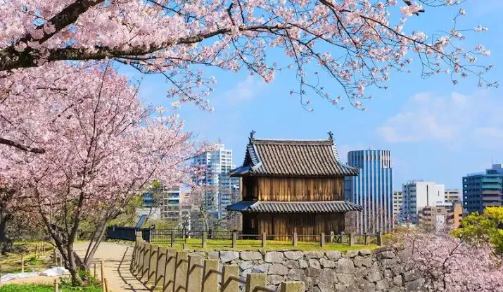 Fukuoka
