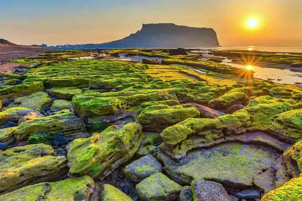 Jeju