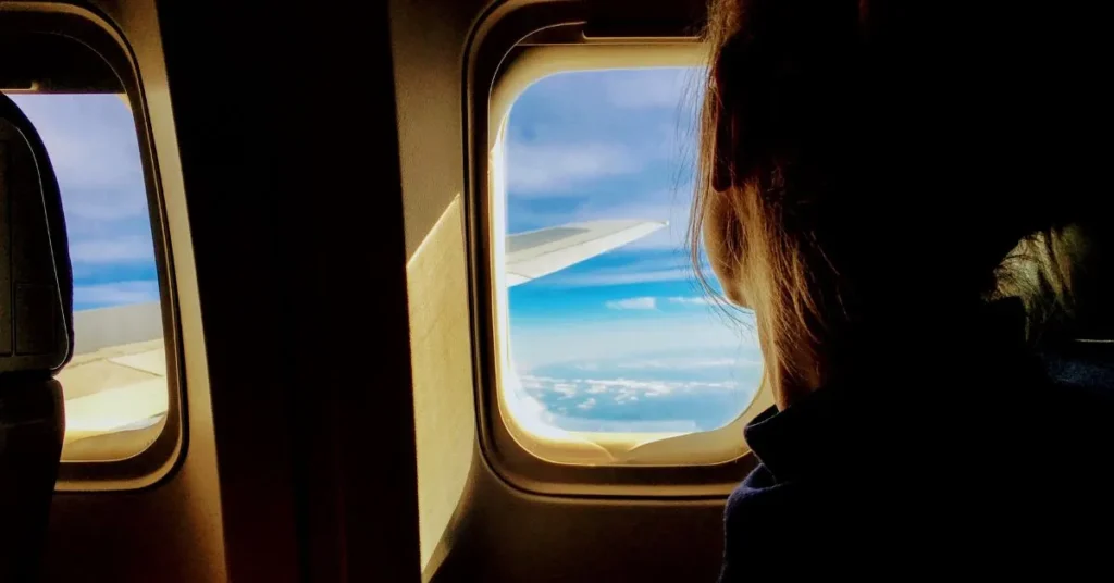 Breast Milk On A Plane