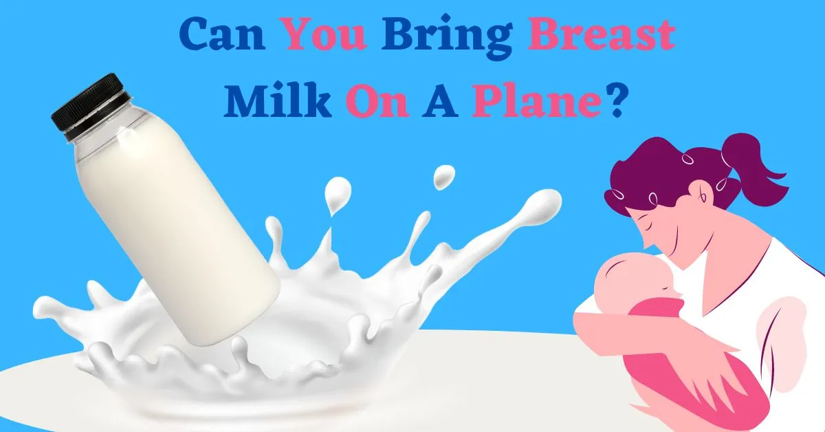 Can You Bring Breast Milk On A Plane?