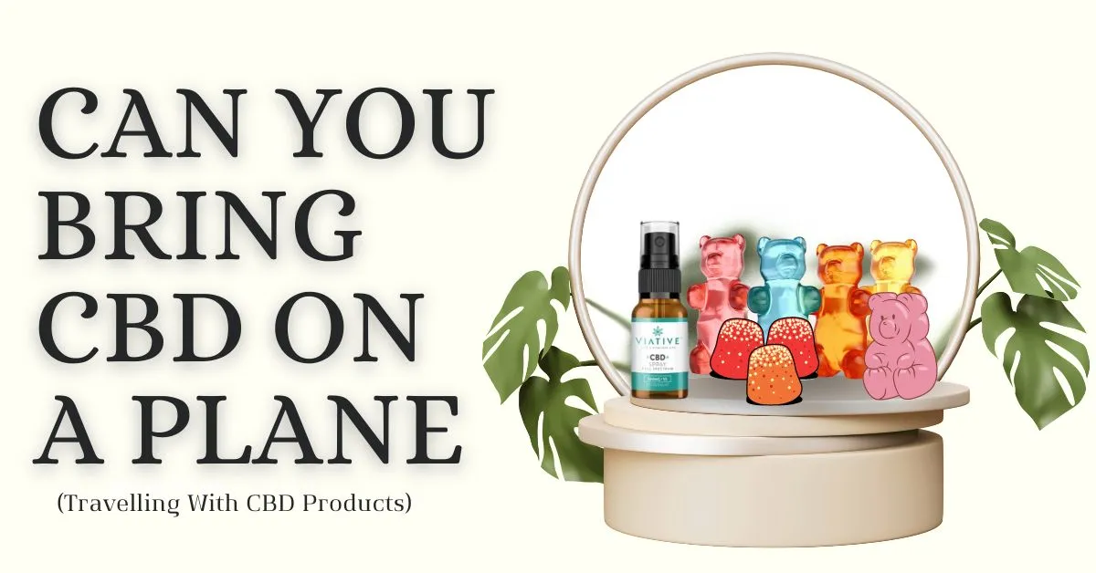 Can You Bring CBD On A Plane
