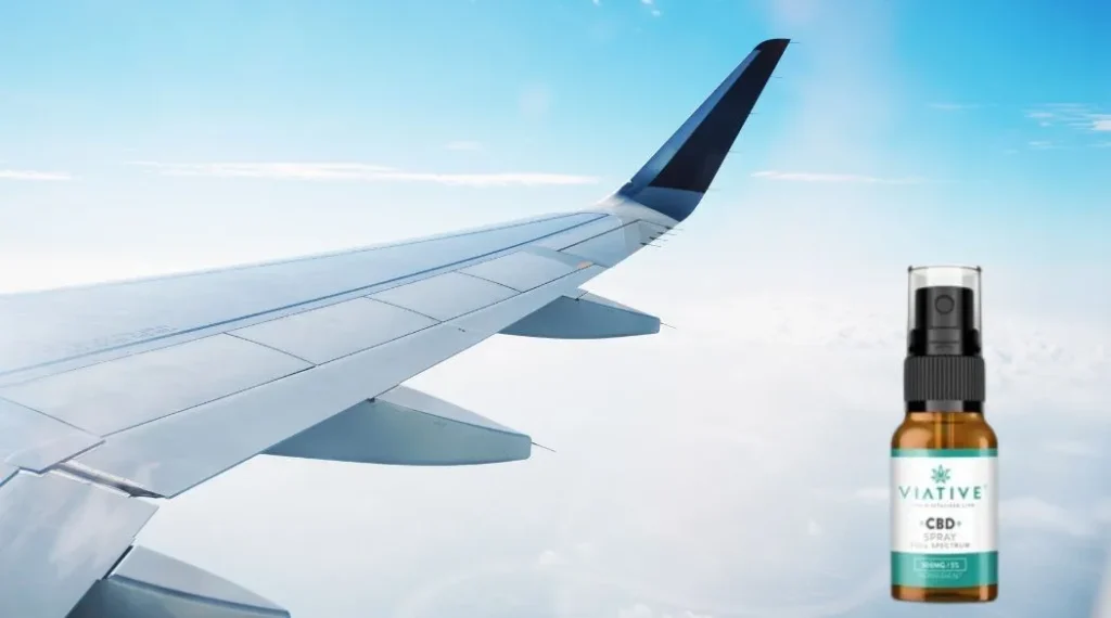 Can You Fly With CBD: Is It legal