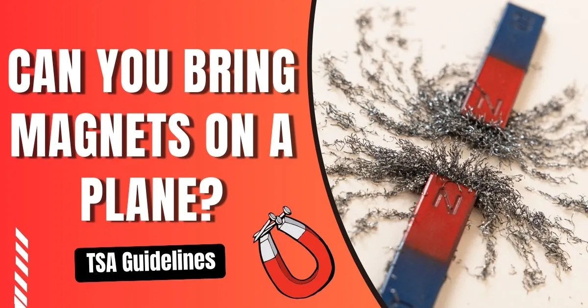 Can You Bring Magnets On A Plane